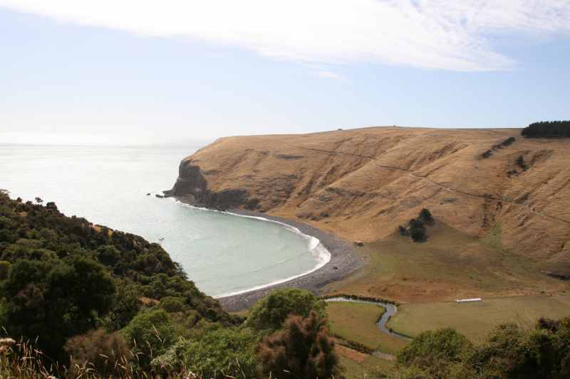 Nieuw-Zeeland 2011 - 2125